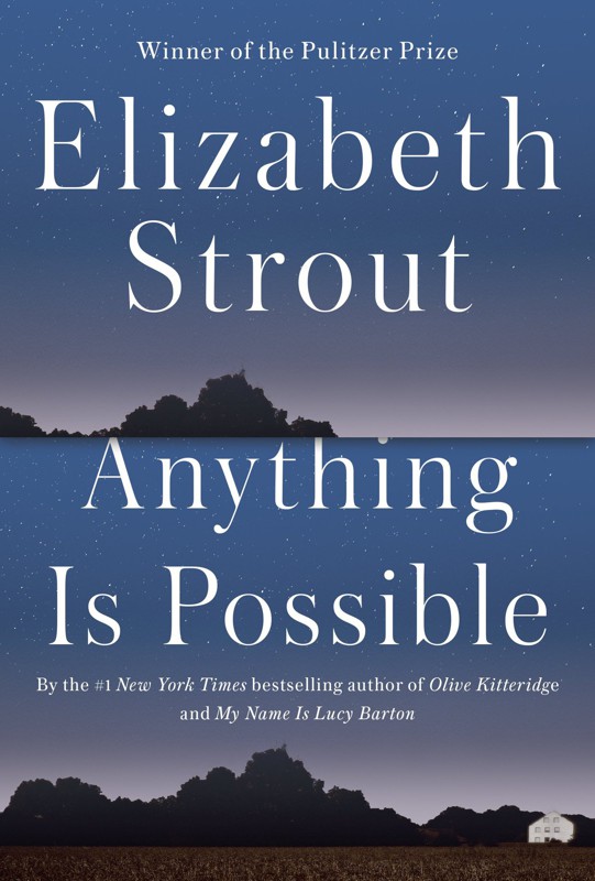 Cover of Anything Is Possible