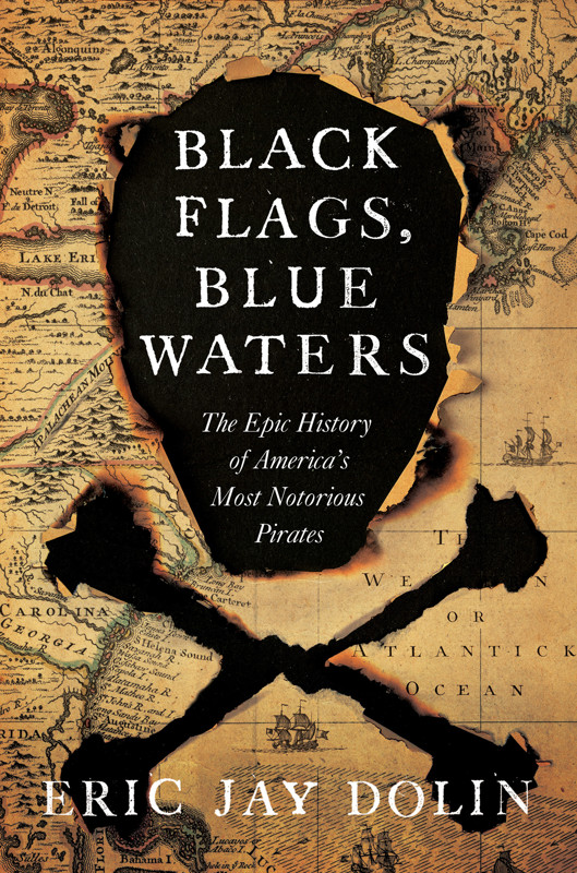 Cover of Black Flags, Blue Waters