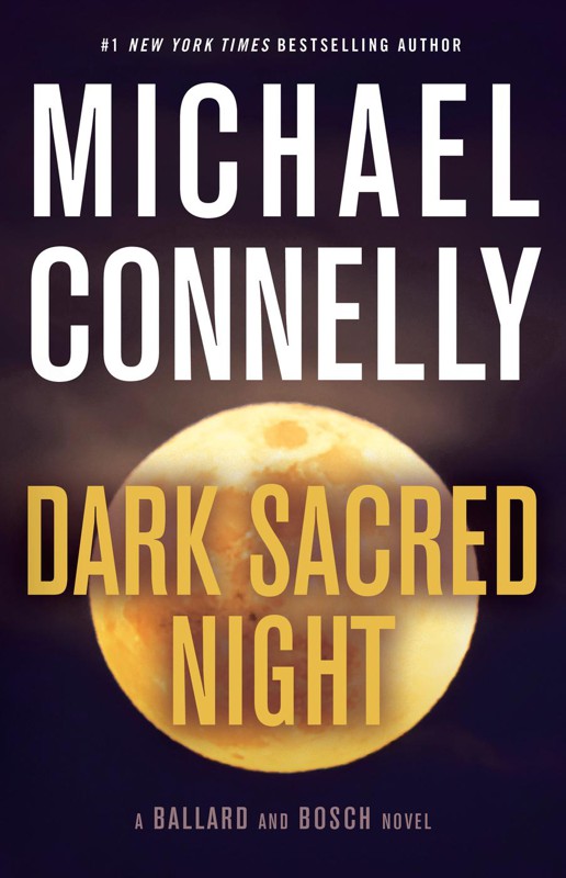 Cover of Dark Sacred Night